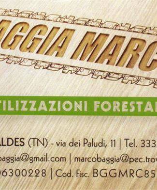 BAGGIA MARCO UTILIZZAZIONI FORESTALI